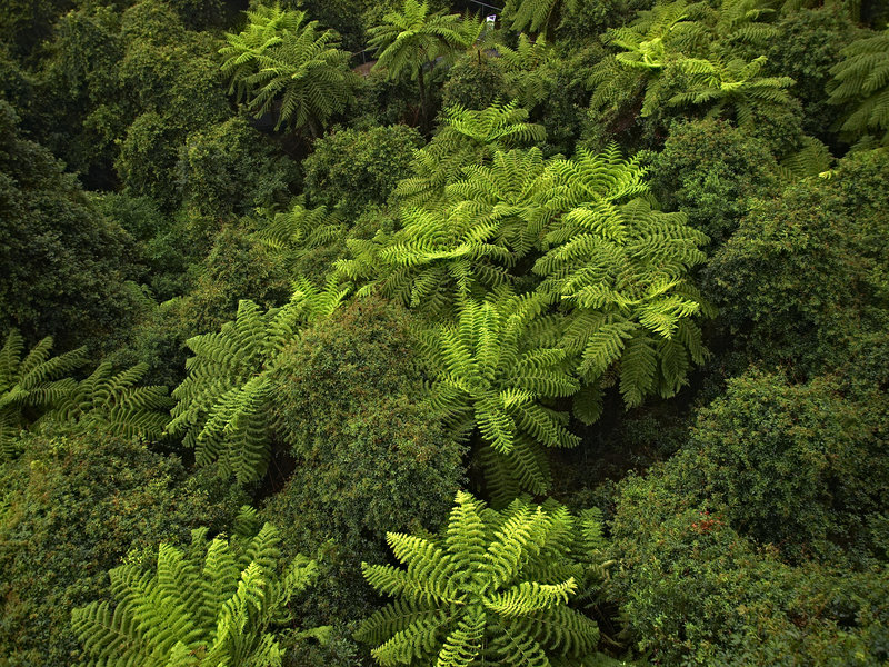 Blue Mountains